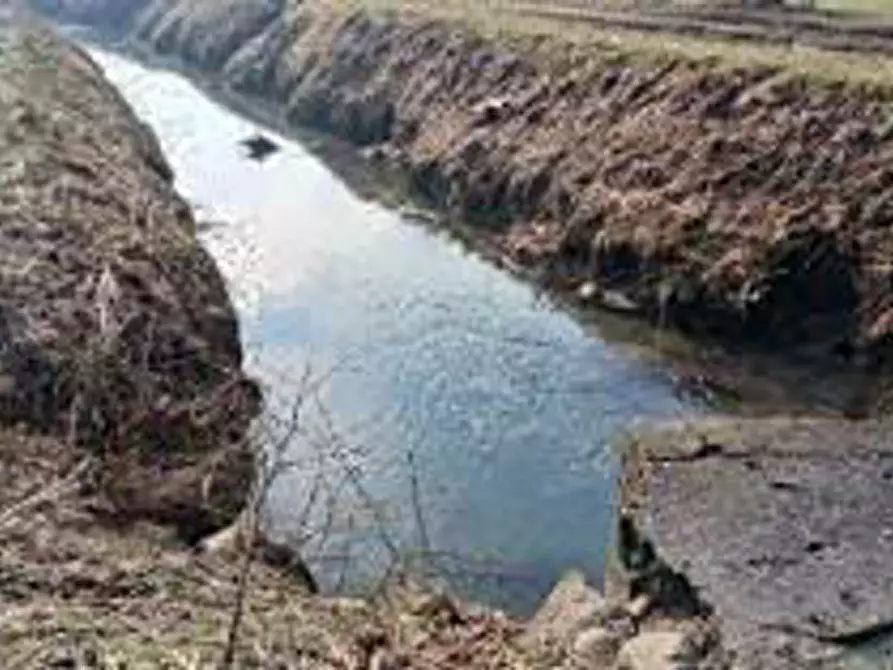 Immagine 4 di Terreno in vendita  in Località Ronchi a Povegliano Veronese