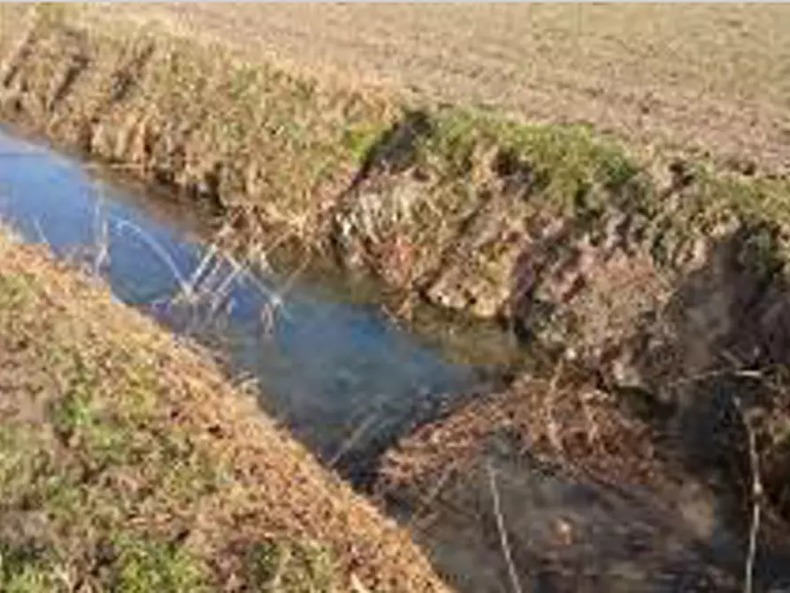 Immagine 5 di Terreno in vendita  in Località Ronchi a Povegliano Veronese