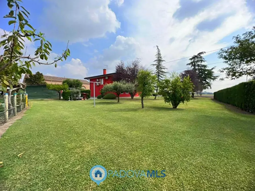 Immagine 2 di Villa in vendita  in Via Nuova a Anguillara Veneta