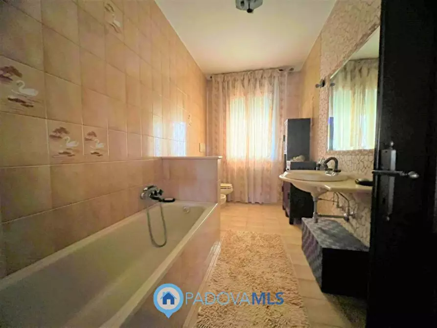 Immagine 9 di Villa in vendita  in Via Nuova a Anguillara Veneta