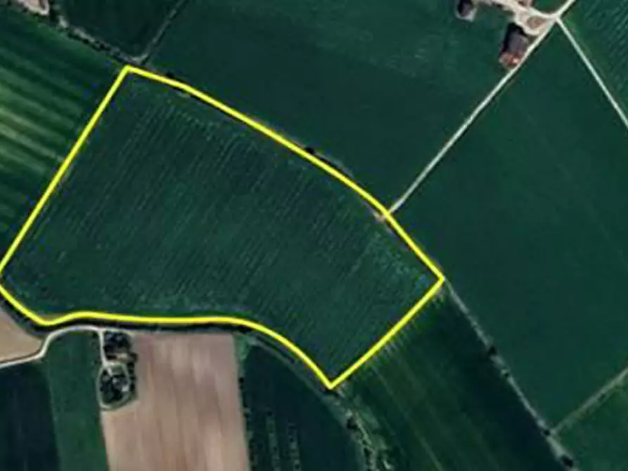 Immagine 1 di Terreno in vendita  in Località Ronchi a Povegliano Veronese