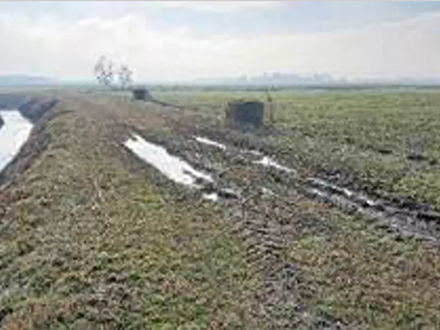 Immagine 4 di Terreno in vendita  in Località Ronchi a Povegliano Veronese