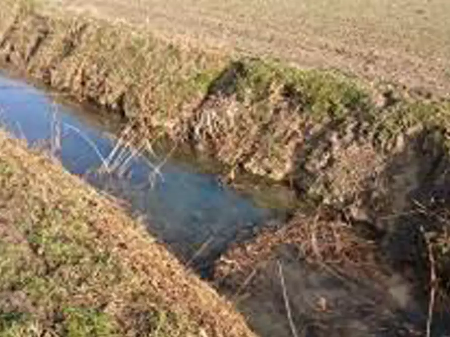 Immagine 5 di Terreno in vendita  in Località Ronchi a Povegliano Veronese
