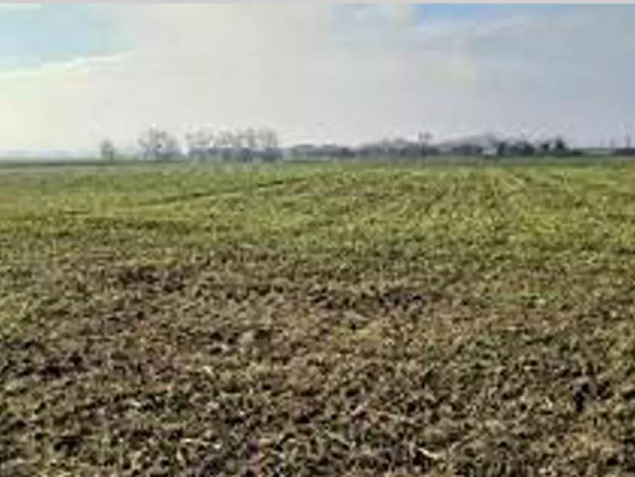 Immagine 6 di Terreno in vendita  in Località Ronchi a Povegliano Veronese