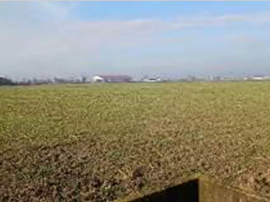 Immagine 7 di Terreno in vendita  in Località Ronchi a Povegliano Veronese