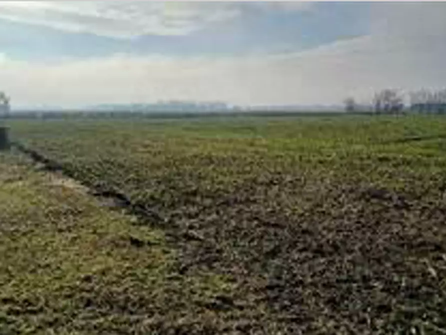 Immagine 8 di Terreno in vendita  in Località Ronchi a Povegliano Veronese