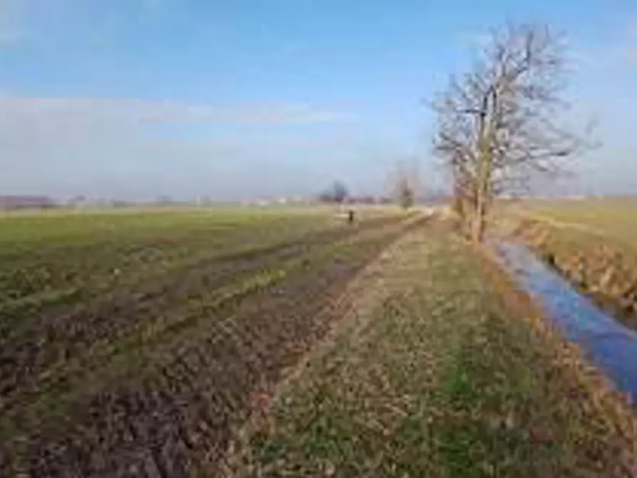 Immagine 9 di Terreno in vendita  in Località Ronchi a Povegliano Veronese