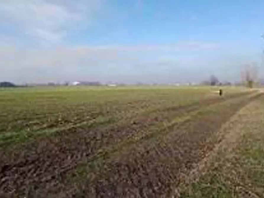 Immagine 10 di Terreno in vendita  in Località Ronchi a Povegliano Veronese