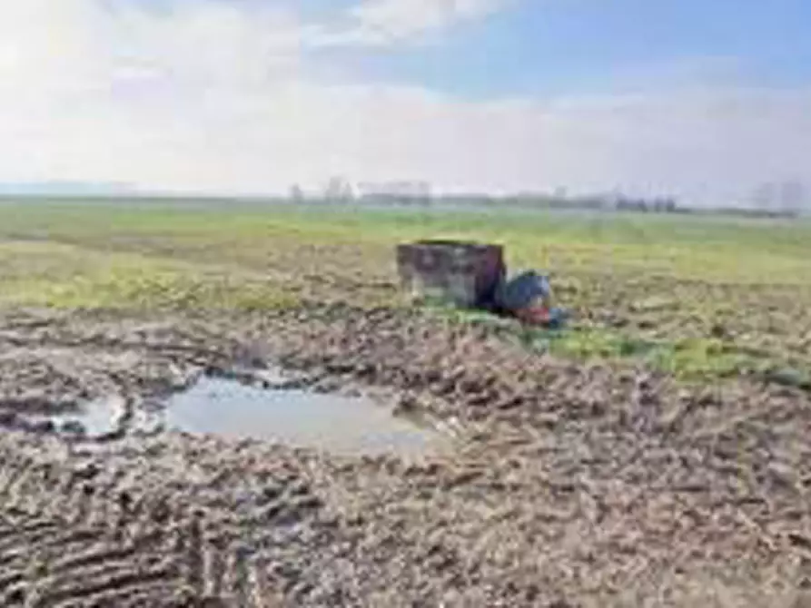 Immagine 11 di Terreno in vendita  in Località Ronchi a Povegliano Veronese