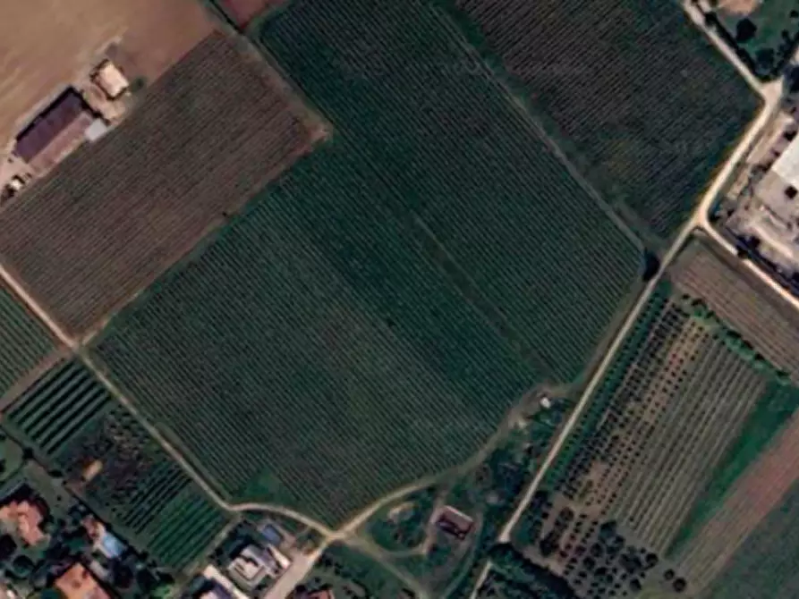 Immagine 1 di Terreno in vendita  in Via pigno a Pescantina