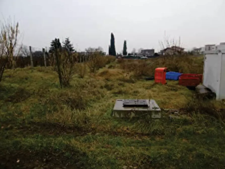 Immagine 2 di Terreno in vendita  in Via pigno a Pescantina
