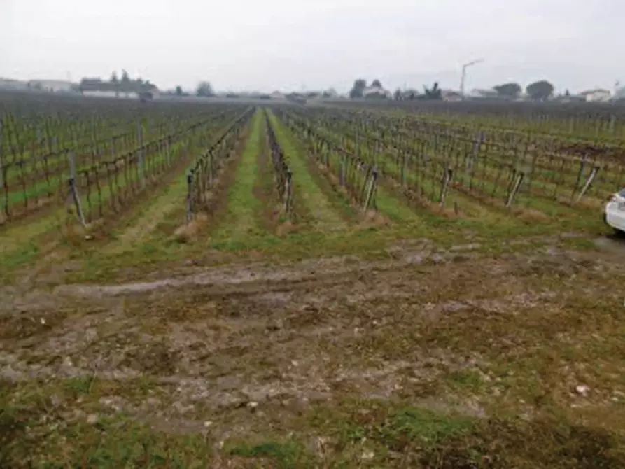 Immagine 3 di Terreno in vendita  in Via pigno a Pescantina