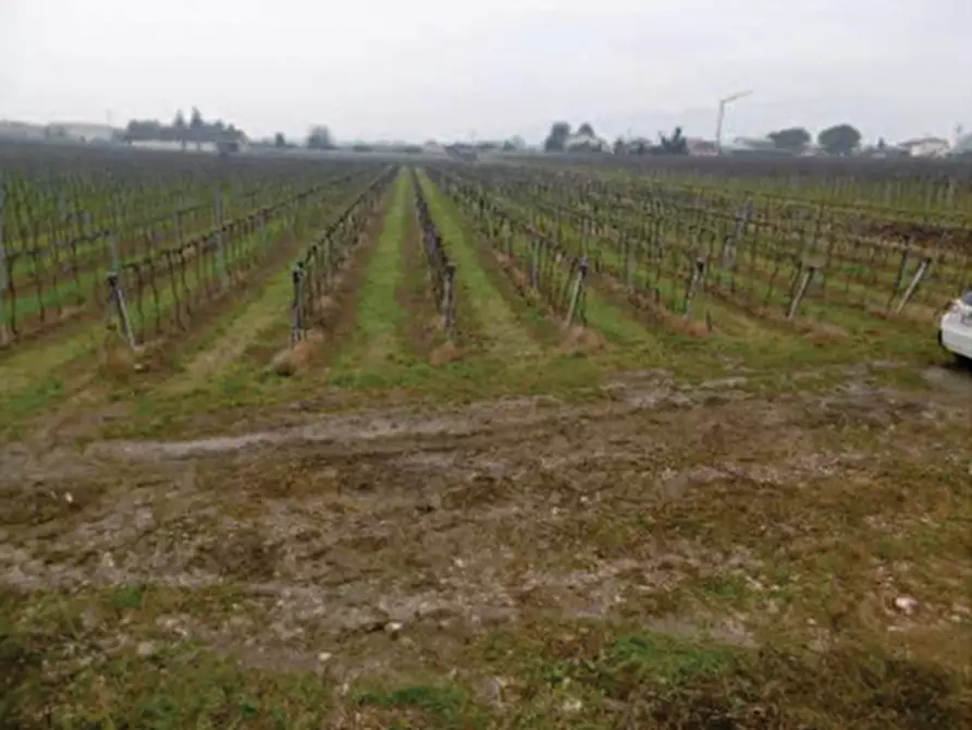 Immagine 4 di Terreno in vendita  in Via pigno a Pescantina