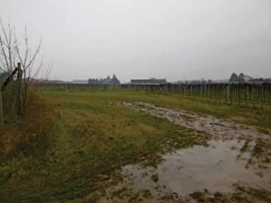 Immagine 5 di Terreno in vendita  in Via pigno a Pescantina