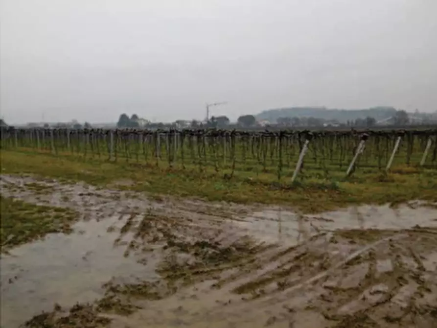 Immagine 6 di Terreno in vendita  in Via pigno a Pescantina