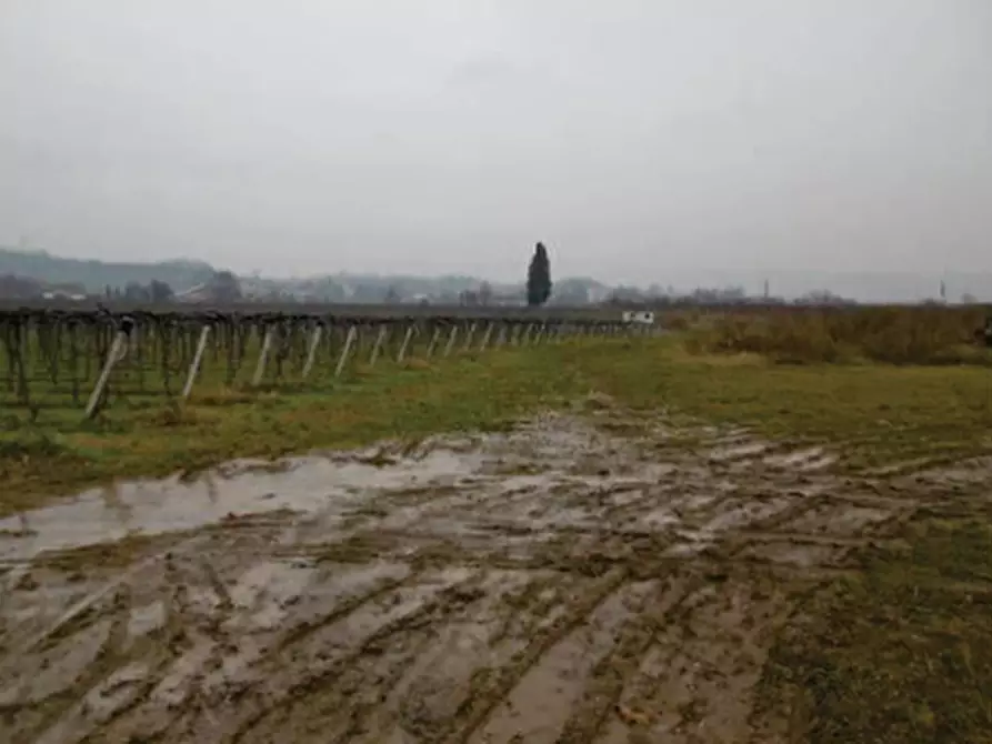 Immagine 7 di Terreno in vendita  in Via pigno a Pescantina