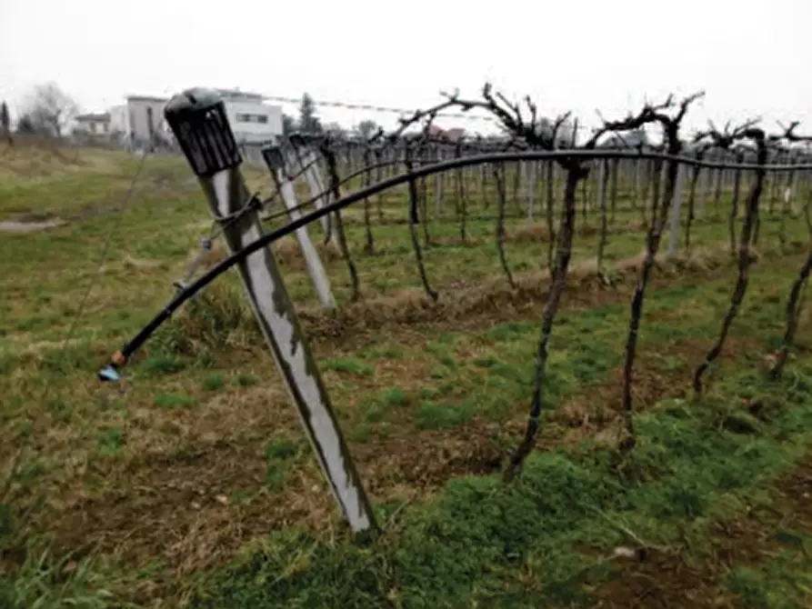 Immagine 10 di Terreno in vendita  in Via pigno a Pescantina