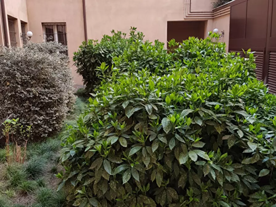 Immagine 26 di Appartamento in affitto  in VIA RUA FRATI MINORI a Modena