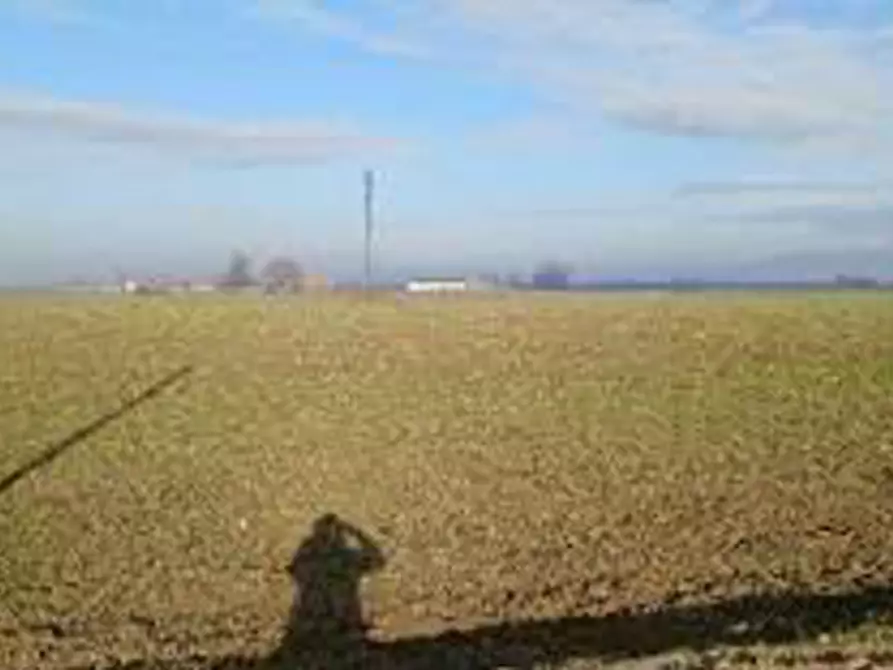 Immagine 7 di Terreno in vendita  in Località Ronchi a Povegliano Veronese