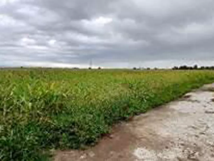 Immagine 9 di Terreno in vendita  in Località Ronchi a Povegliano Veronese