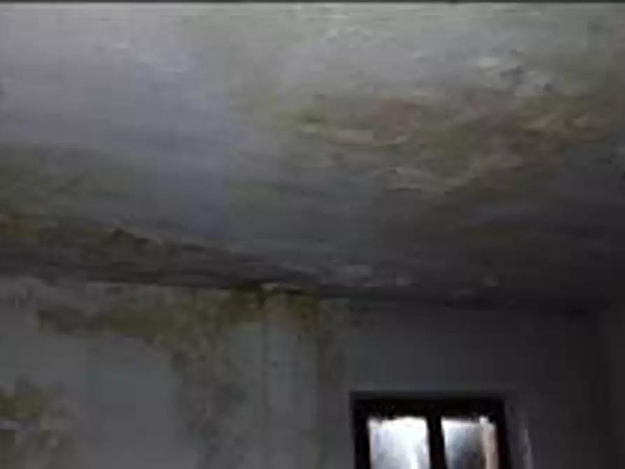 Immagine 21 di Terreno in vendita  in Località Ronchi a Povegliano Veronese