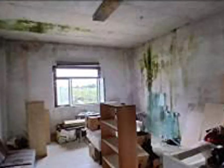 Immagine 68 di Terreno in vendita  in Località Ronchi a Povegliano Veronese