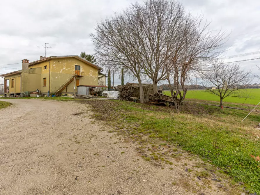 Immagine 1 di Villa in vendita  in Via Colombarola Florio a Pozzolengo