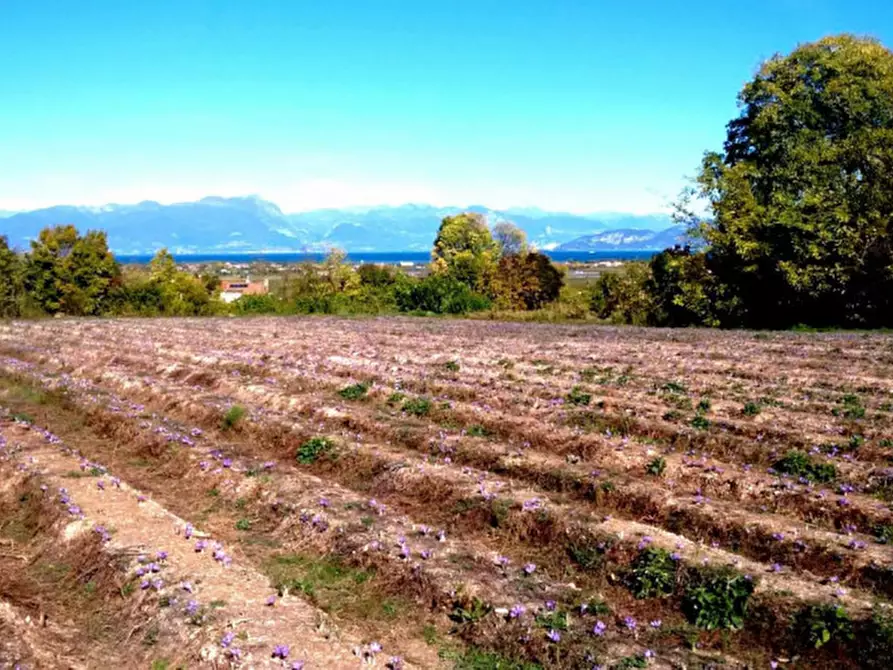 Immagine 18 di Villa in vendita  in Via Colombarola Florio a Pozzolengo