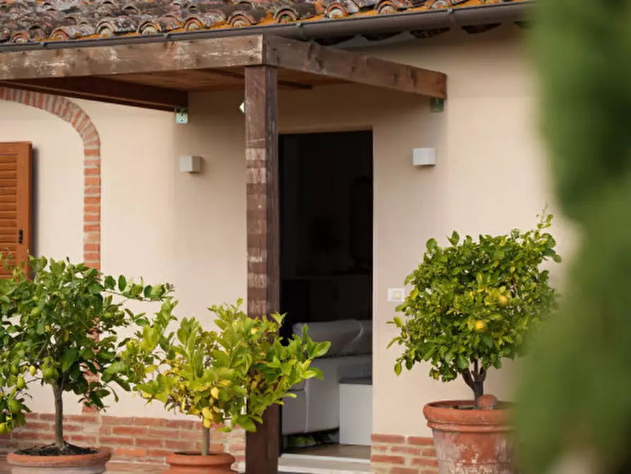 Immagine 32 di Rustico / casale in vendita  in VILLASTRADA a Castiglione Del Lago