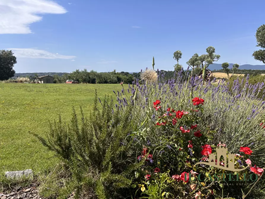 Immagine 37 di Rustico / casale in vendita  in VILLASTRADA a Castiglione Del Lago