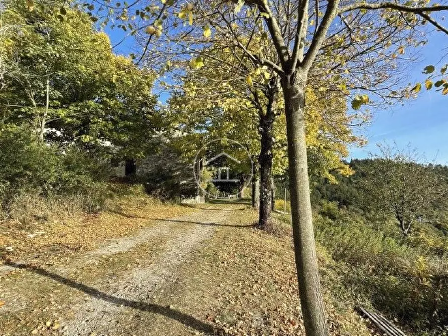 Immagine 3 di Rustico / casale in vendita  in Via Buca della neve 5 a Sesto Fiorentino