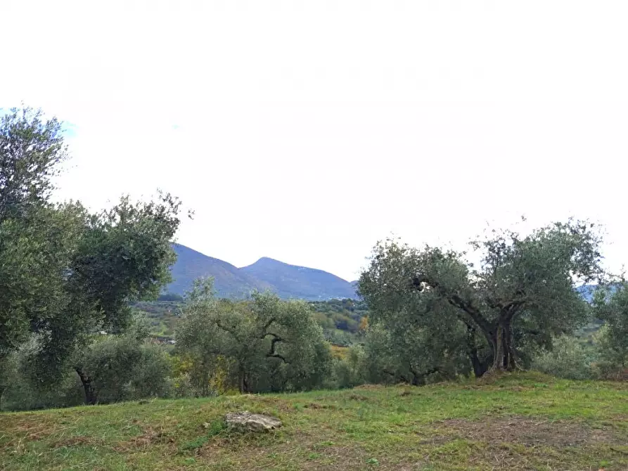 Immagine 1 di Terreno in vendita  in Colle della Selciata a Guidonia Montecelio