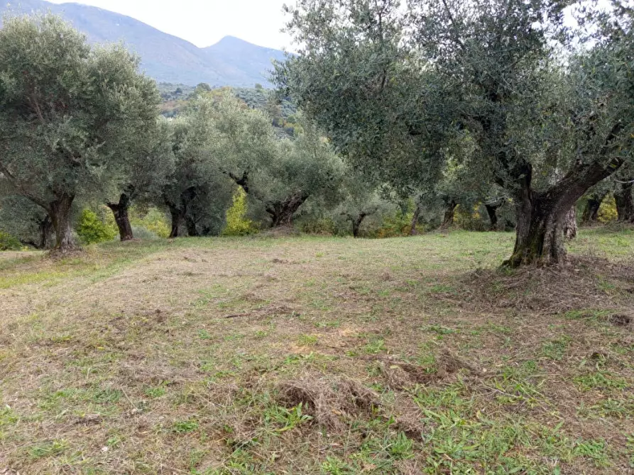 Immagine 2 di Terreno in vendita  in Colle della Selciata a Guidonia Montecelio