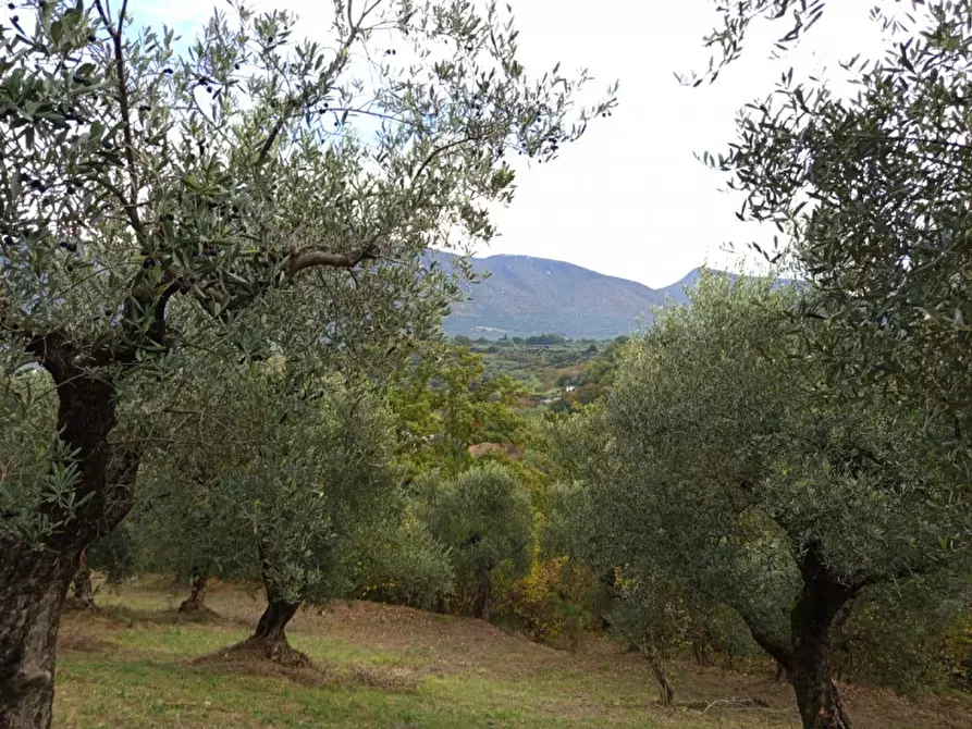 Immagine 3 di Terreno in vendita  in Colle della Selciata a Guidonia Montecelio