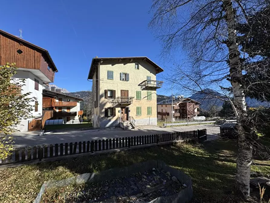 Immagine 2 di Casa indipendente in vendita  a Danta Di Cadore