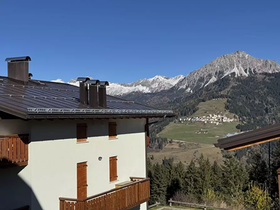 Immagine 4 di Casa indipendente in vendita  a Danta Di Cadore