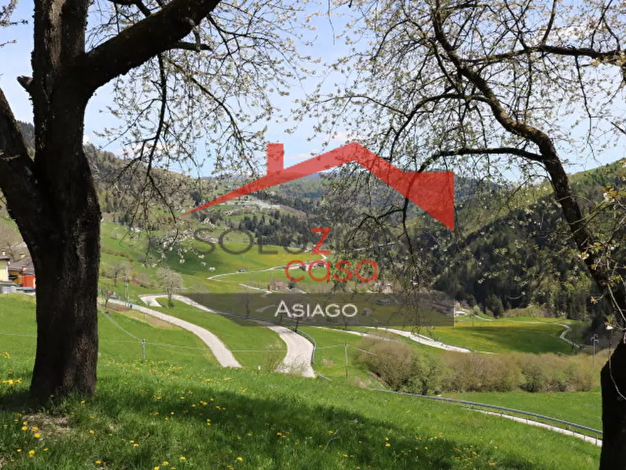 Immagine 7 di Rustico / casale in vendita  a Gallio