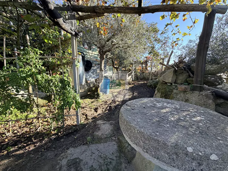 Immagine 35 di Casa indipendente in vendita  in via santa maria del monte a Forio