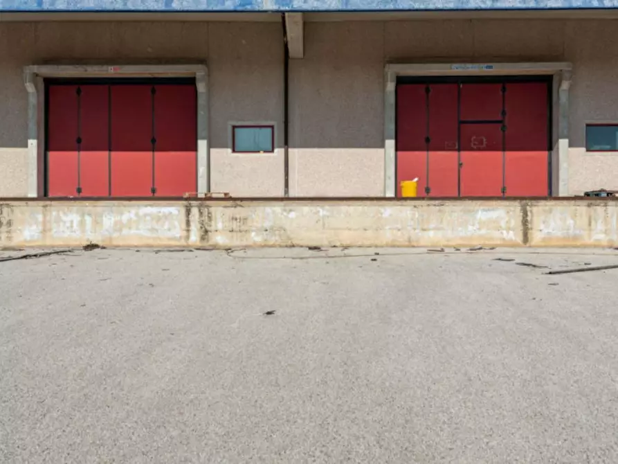 Immagine 3 di Capannone industriale in vendita  in Strada Statale 372, N. snc a San Salvatore Telesino