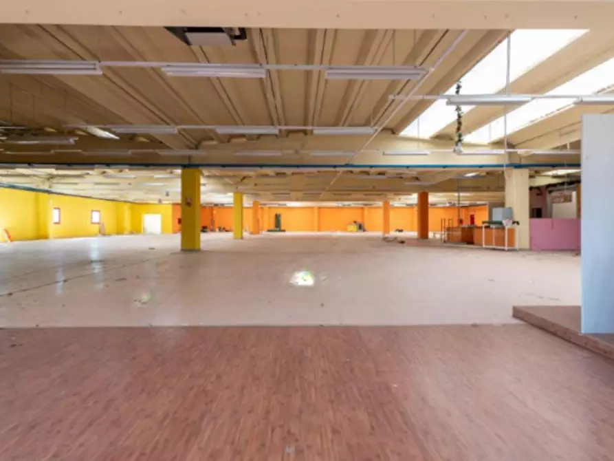 Immagine 12 di Capannone industriale in vendita  in Strada Statale 372, N. snc a San Salvatore Telesino