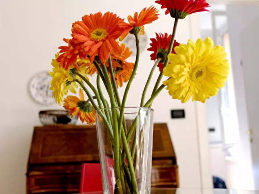 Immagine 11 di Appartamento in affitto  in piazza lavagna a Genova