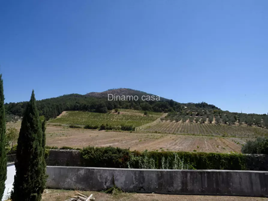 Immagine 4 di Appartamento in vendita  in Via Imperia a Montemurlo