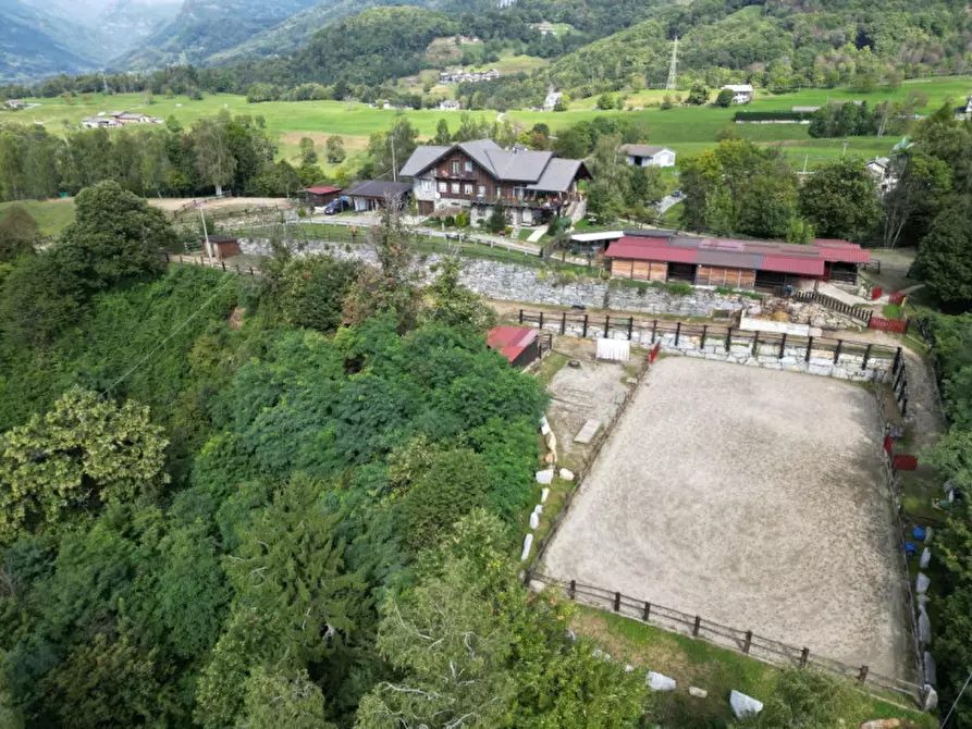 Immagine 3 di Bed & Breakfast in affitto  in STRADA PROVINCIALE 1 a Brosso