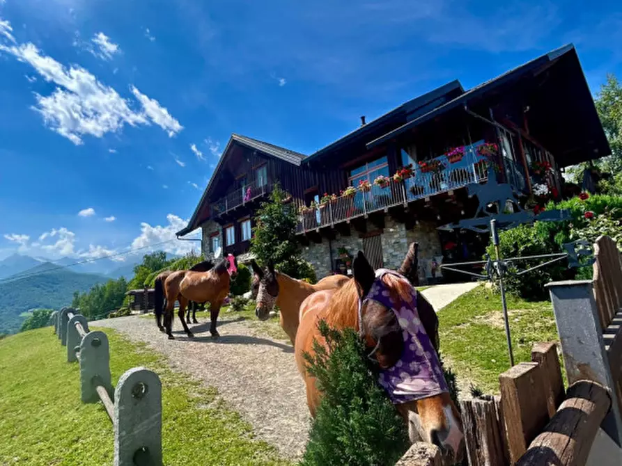 Immagine 11 di Bed & Breakfast in affitto  in STRADA PROVINCIALE 1 a Brosso