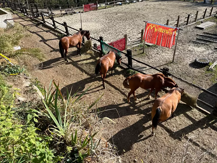 Immagine 24 di Bed & Breakfast in affitto  in STRADA PROVINCIALE 1 a Brosso