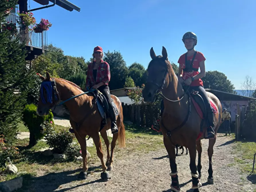 Immagine 26 di Bed & Breakfast in affitto  in STRADA PROVINCIALE 1 a Brosso