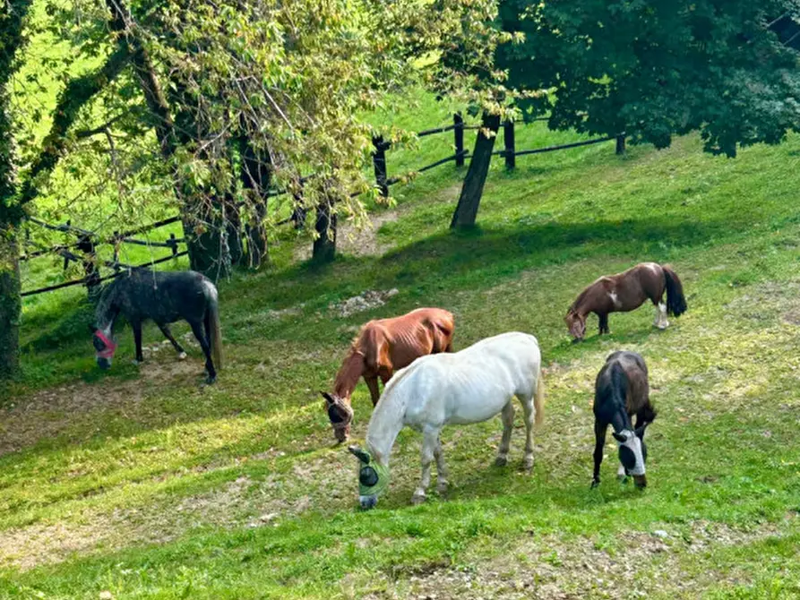 Immagine 29 di Bed & Breakfast in affitto  in STRADA PROVINCIALE 1 a Brosso