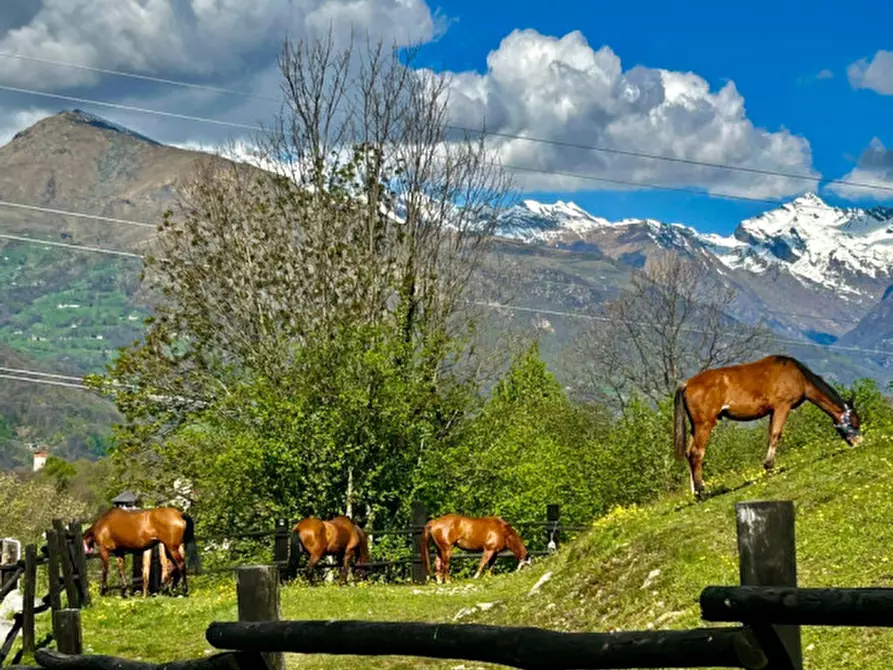 Immagine 31 di Bed & Breakfast in affitto  in STRADA PROVINCIALE 1 a Brosso