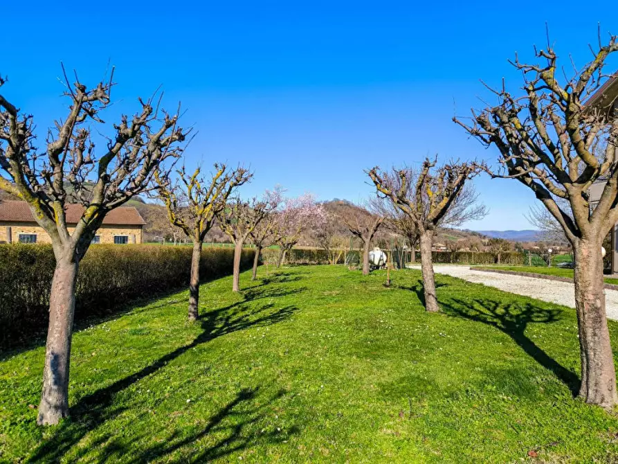 Immagine 18 di Villetta a schiera in vendita  in Strada Provinciale Fangacci a Urbania