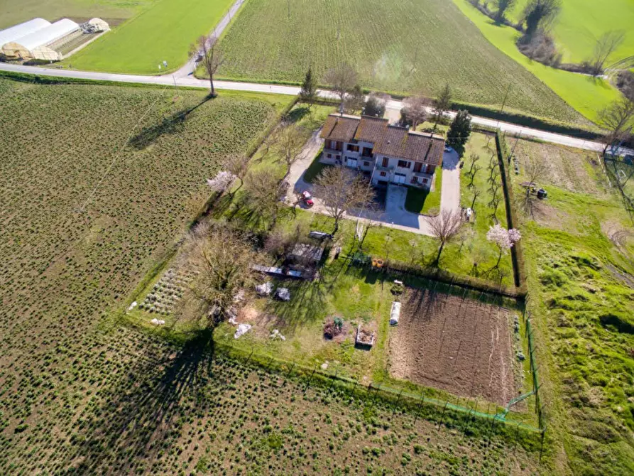 Immagine 23 di Villetta a schiera in vendita  in Strada Provinciale Fangacci a Urbania